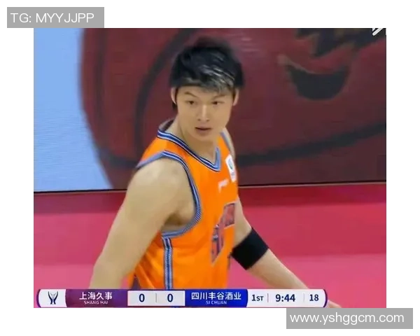 王哲林在CBA赛场的崛起与挑战：从新星到领军人物的奋斗历程