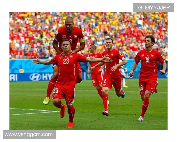 瑞士与北爱尔兰激战正酣赛果揭晓精彩瞬间回顾