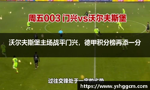 沃尔夫斯堡主场战平门兴，德甲积分榜再添一分